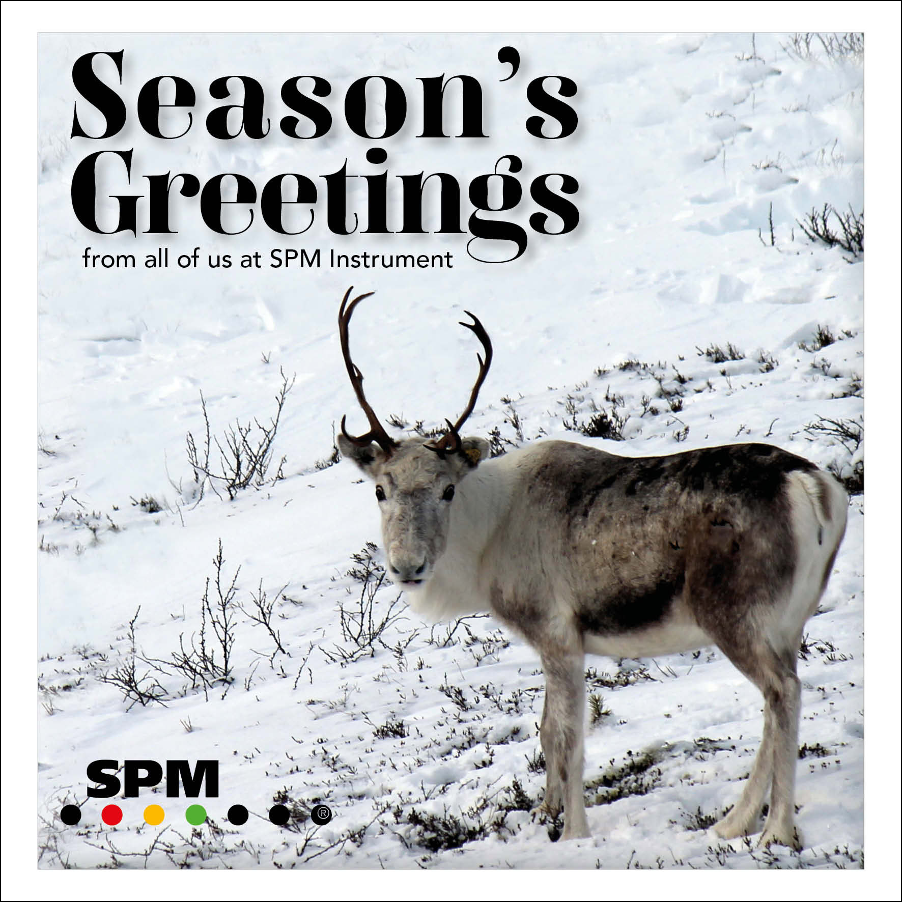 Season's Greetings Season's Greetings